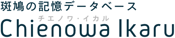 斑鳩の記憶データベース Chienowa Ikaru チエノワ・イカル